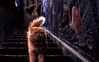 ¿Cuáles Son los Gatos Más Memorables de la Saga de Harry Potter?