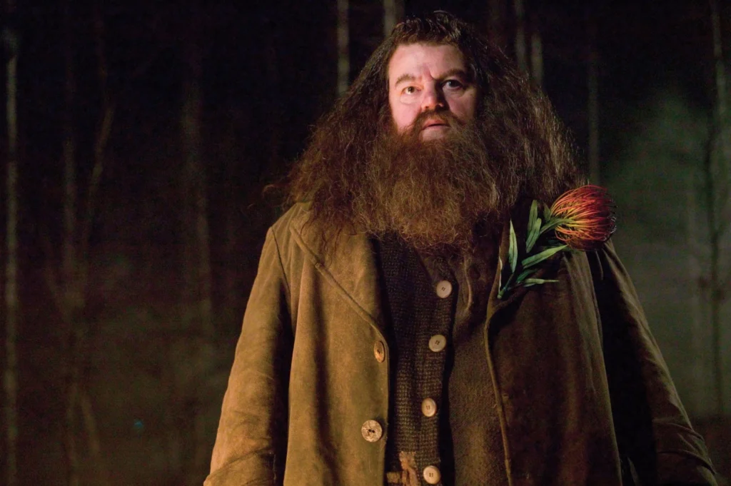 ¿Por Qué Hagrid es Tan Grande?